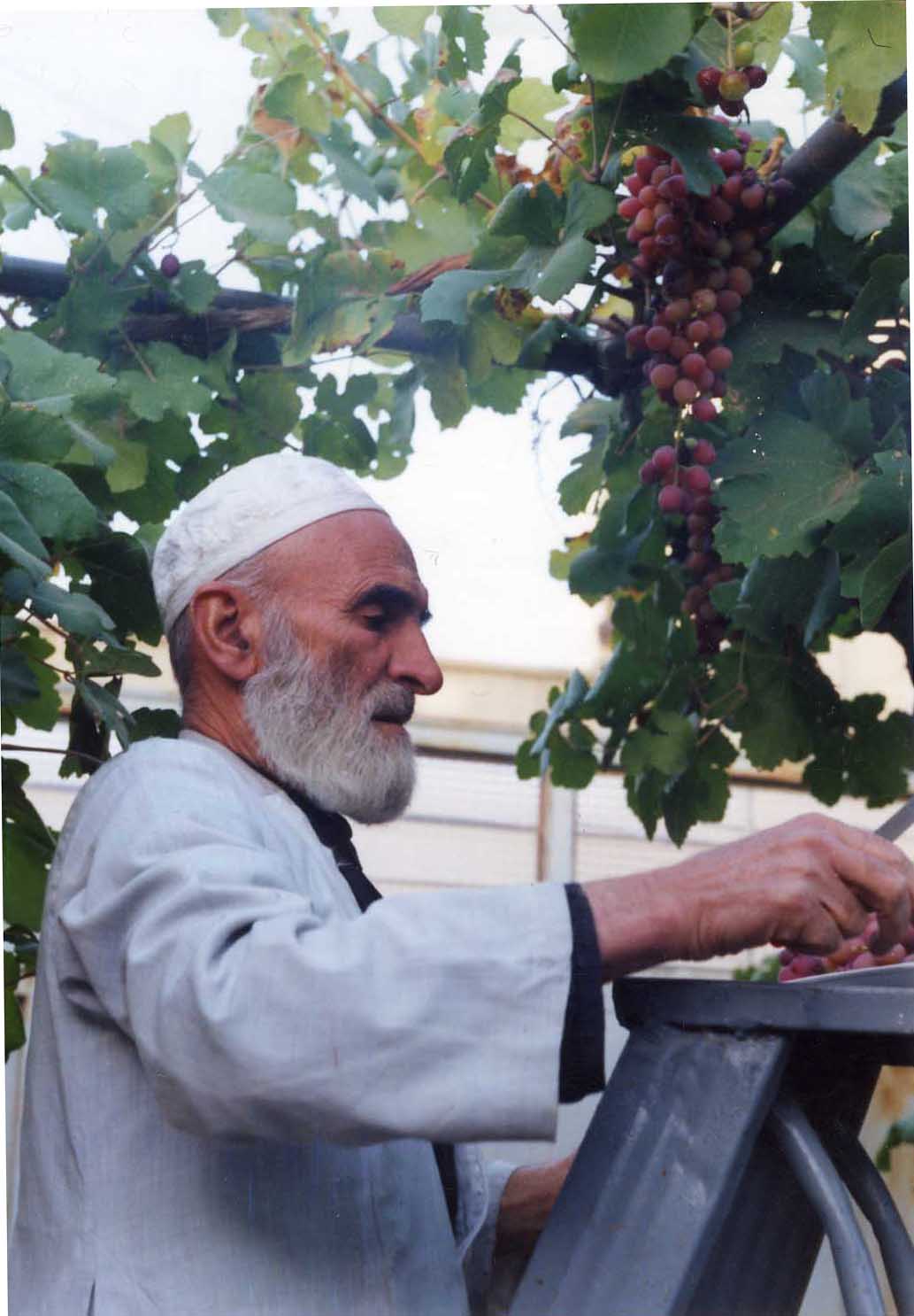 از عکسهای ماندگار 